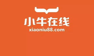 小牛在线品牌部 品牌公关与品牌公益的深耕之道